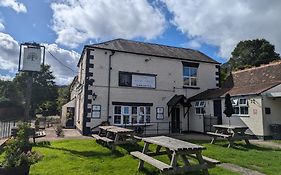 The Yew Tree At Longhope